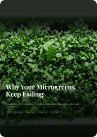 Why Your Microgreens Keep Failing – microgreens troubleshooting guide cover
