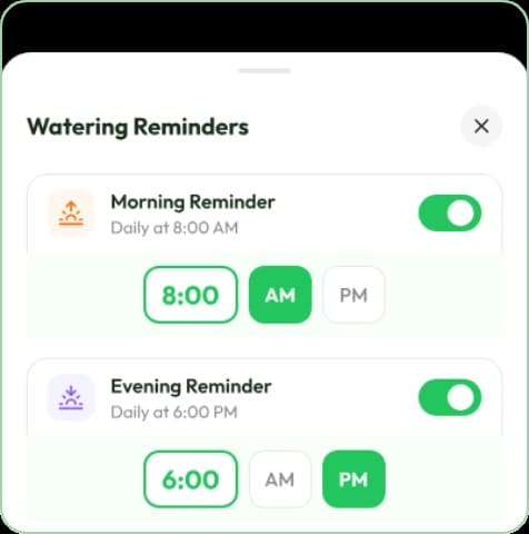 Stay on schedule